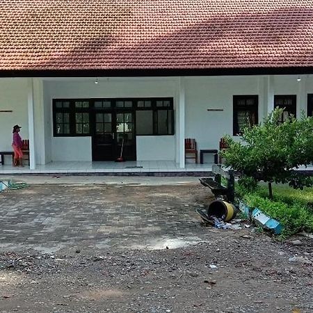 Bed and Breakfast Sukamade Adventure Tour Package à Banyuwangi  Extérieur photo